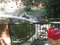 Zoo Cottbus 062